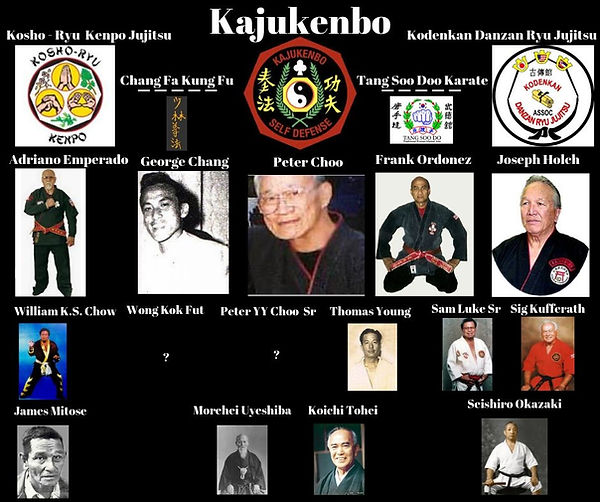 Main image of Backyard Jujitsu Martial Arts Academy