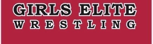Main image of Badger Girls Elite