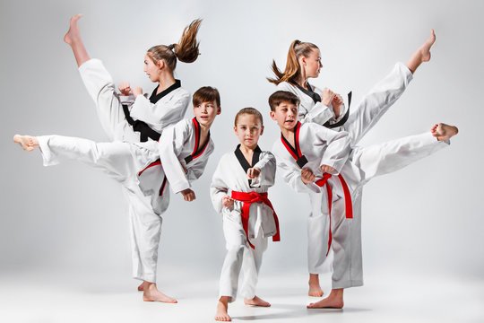 Main image of Baek Ho Taekwondo Academy