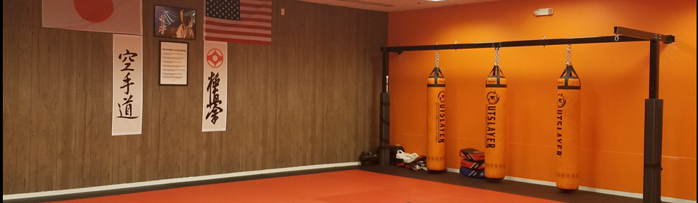 Main image of Ballistic Budo Club