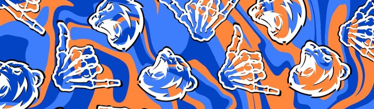 Main image of BALU GRAPPLING TEAM