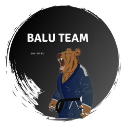 Main image of BALU JIU-JITSU TEAM