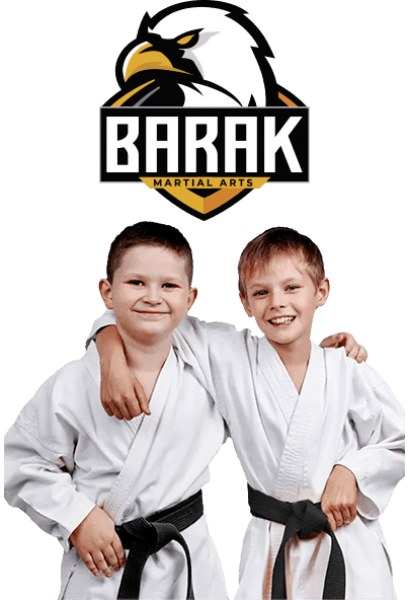 Main image of Barak Martial Arts USA