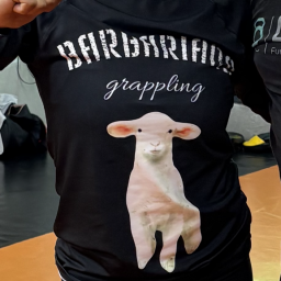 Main image of Barbarians Grappling