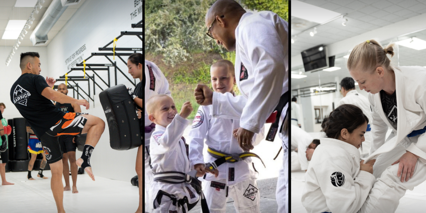 Main image of Barrios Martial Arts