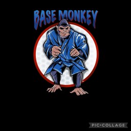 Main image of Base Monkey SAMBO & MMA