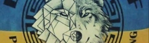 Main image of Battle wolf 1