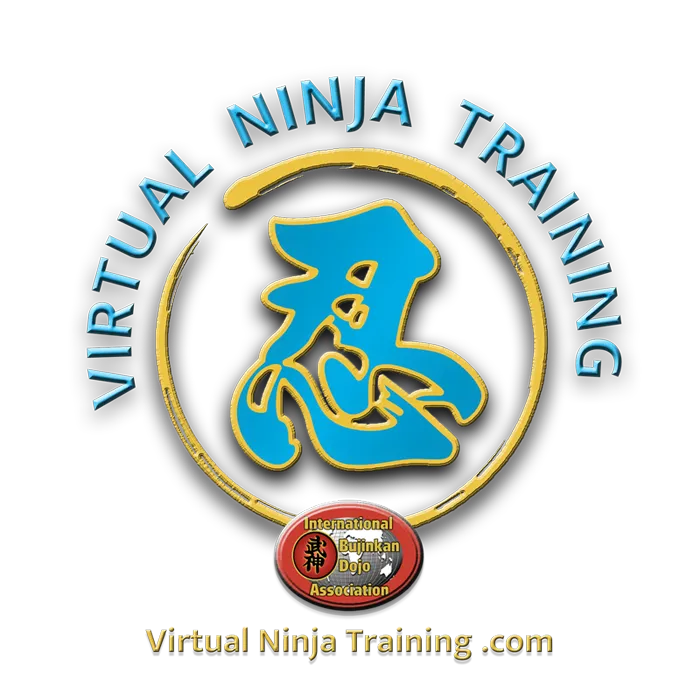 Main image of Bay Area Ninjutsu