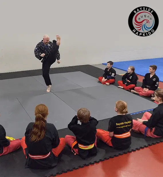 Main image of Bayside Hapkido
