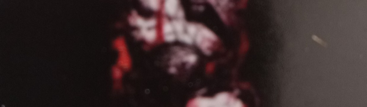 Main image of Bear Trap