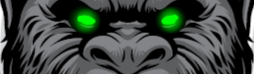 Beast Boy Grappling
