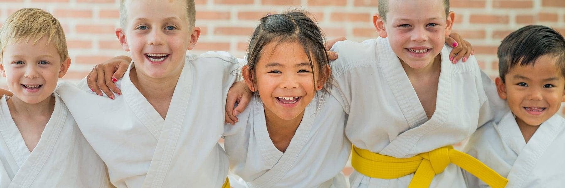 Bernardo Karate And Cardio Kickboxing academy image