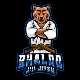 Main image of Bhaloo Brazilian Jiu Jitsu Academy