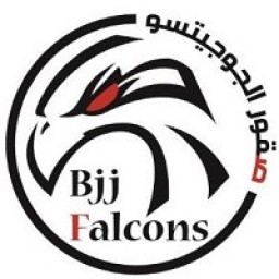 Main image of BJJ Falcons