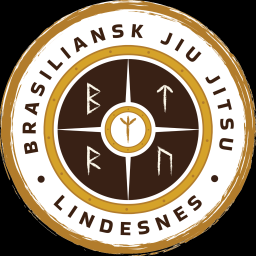 Main image of BJJ Lindesnes