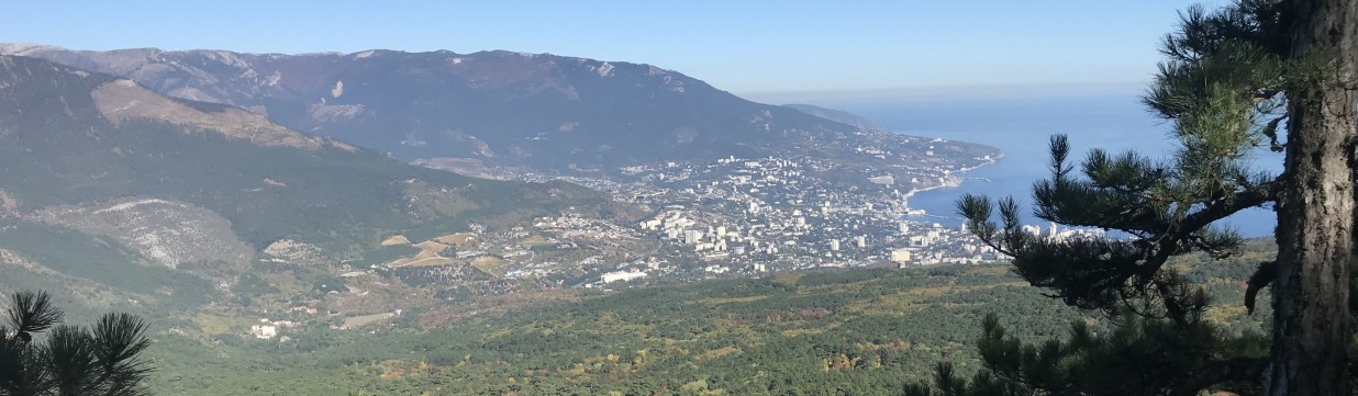 Main image of Bjj Yalta