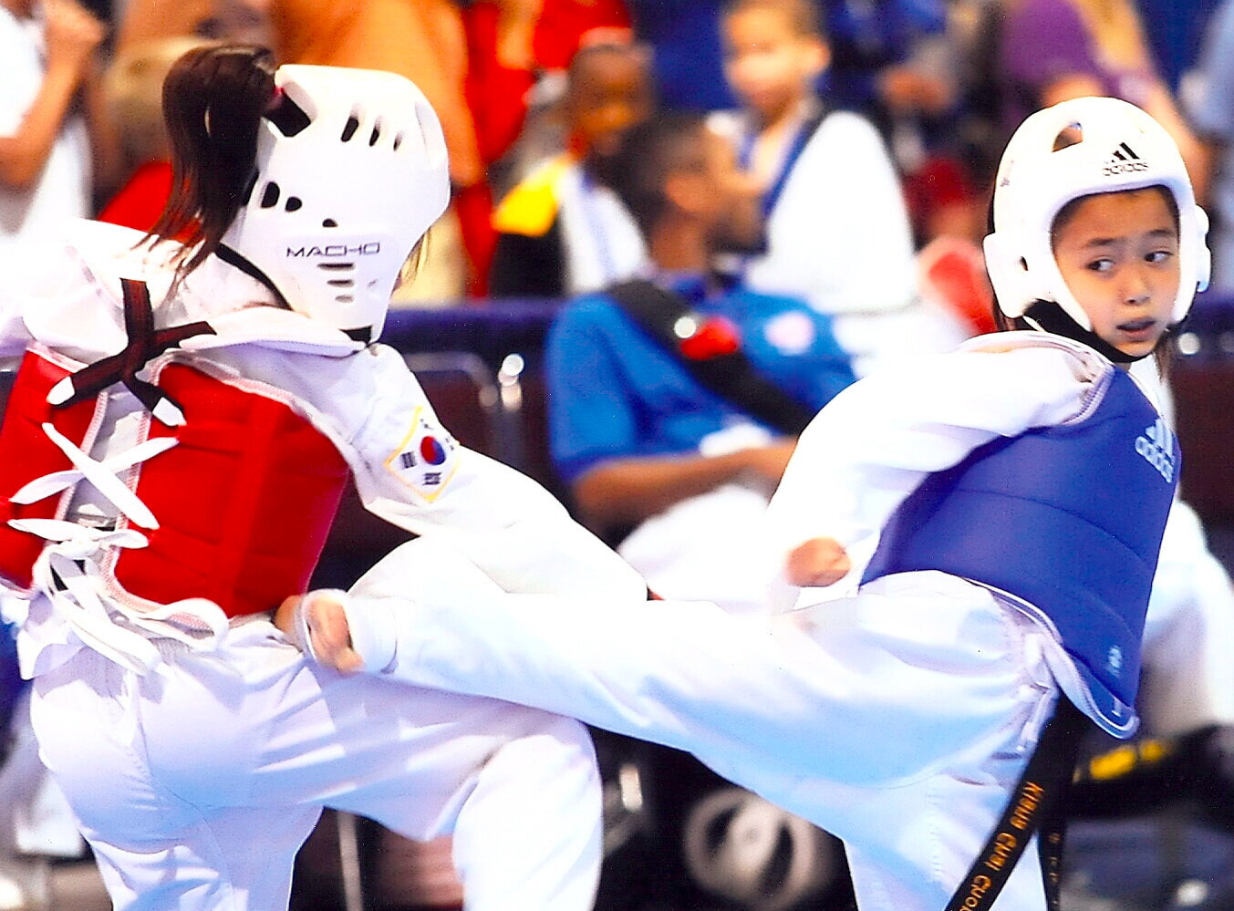 Main image of Black Belt Academy