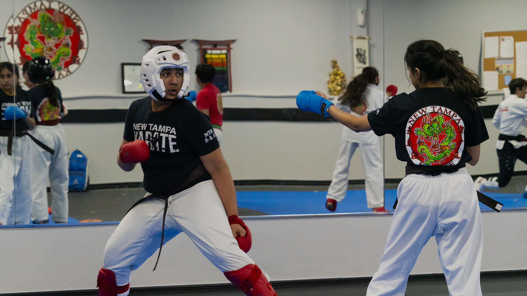 Main image of Black Belt Academy