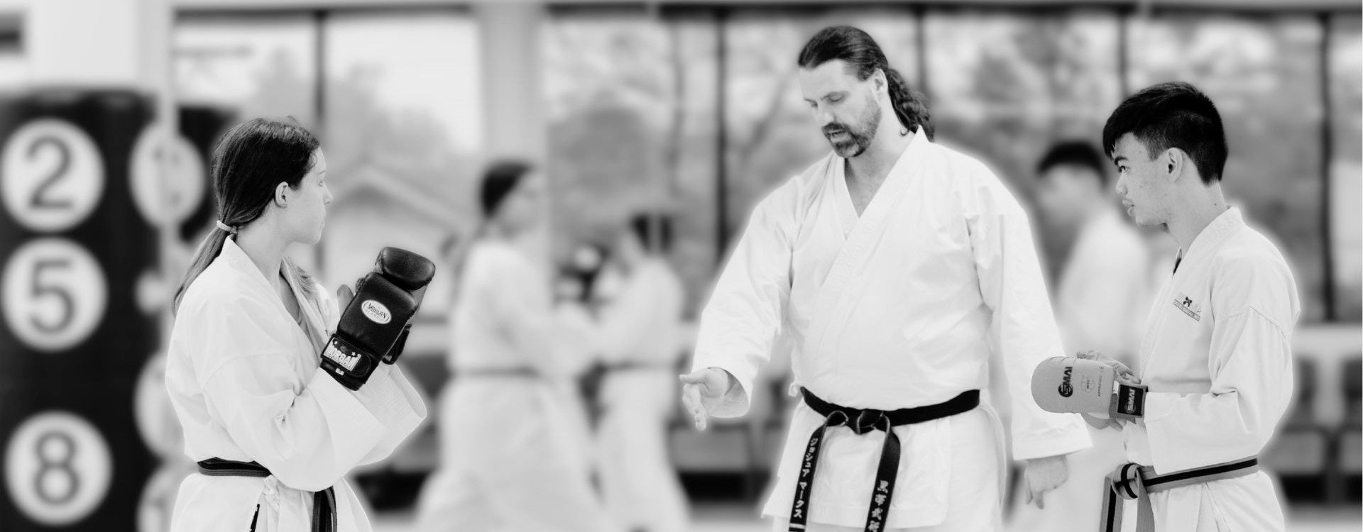 Main image of Black Belt Martial Arts