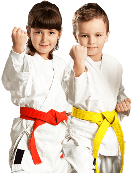 Main image of Black Belt World