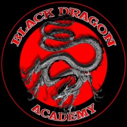 Main image of Black Dragon Academy Chico