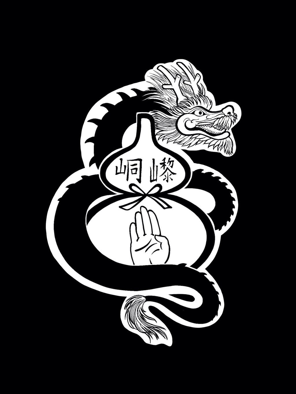 Main image of Black dragon kung fu