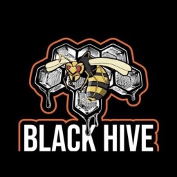 Main image of Black Hive Jiujitsu