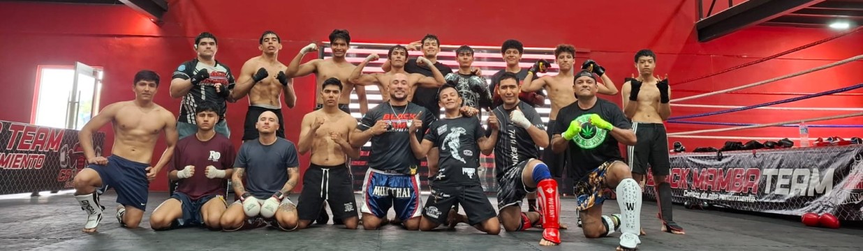 Main image of Black mamba Team C.A.R