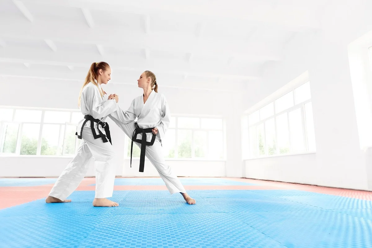 Main image of Black Panther Karate Tai Kyu Do Martial Arts