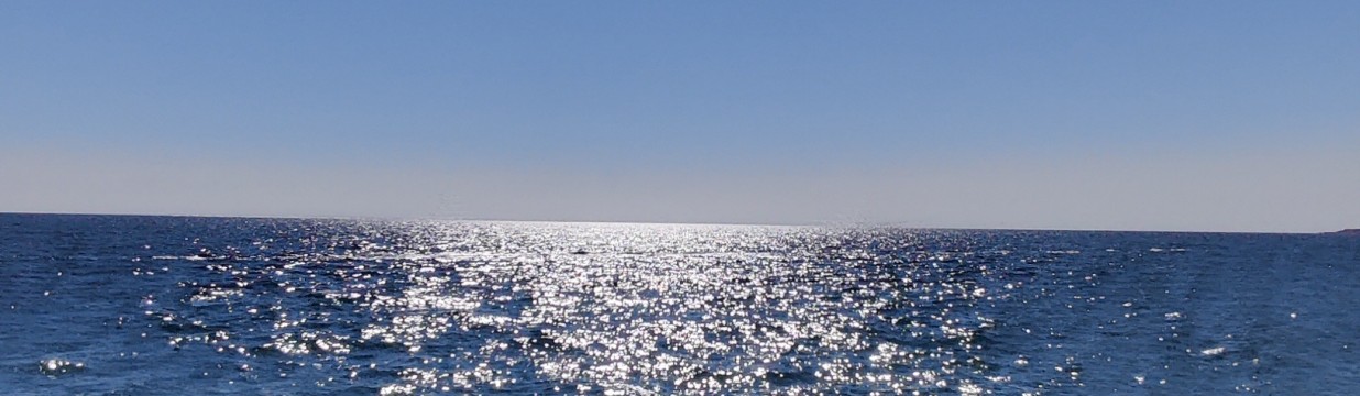 Main image of Black Sea team