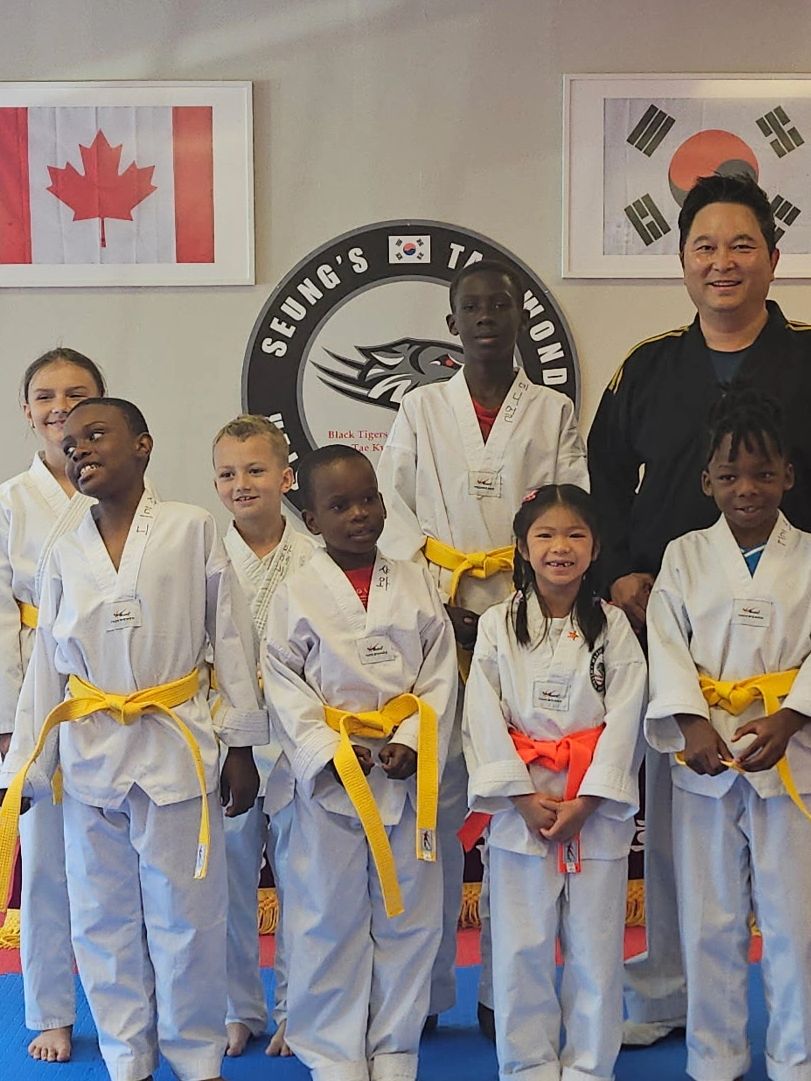 Main image of Black Tigers Taekwondo Winnipeg