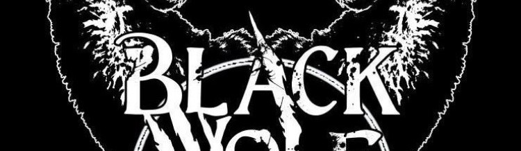 Main image of BlackWolf MMA