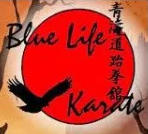 Main image of Blue Life Karate and Kickboxing Centers