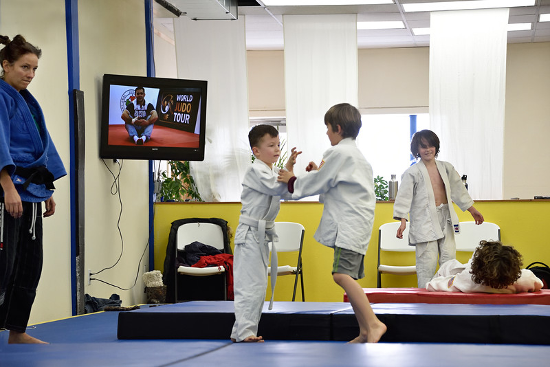 Main image of Blue Line Judo