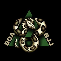 Main image of Boa Brazilian Jiu Jitsu