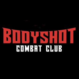 Main image of Body shot combat