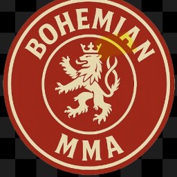 Main image of BOHEMIAN MMA