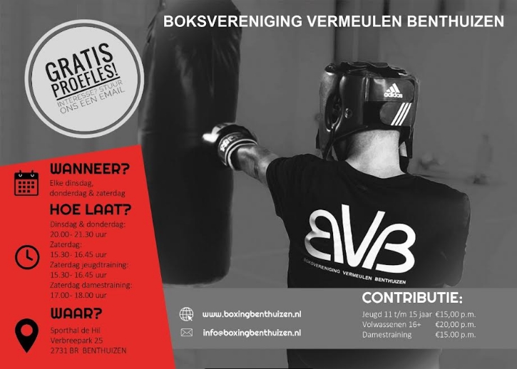 Main image of Boksvereniging Vermeulen Benthuizen