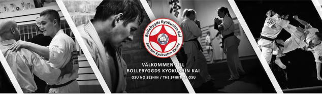 Main image of Bollebygds Kyokushin Kai