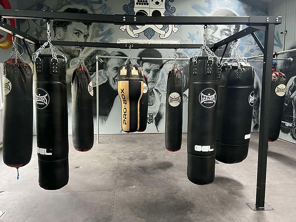 Main image of Borehamwood Boxing Club
