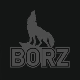 Main image of BORZ_SCHOOL