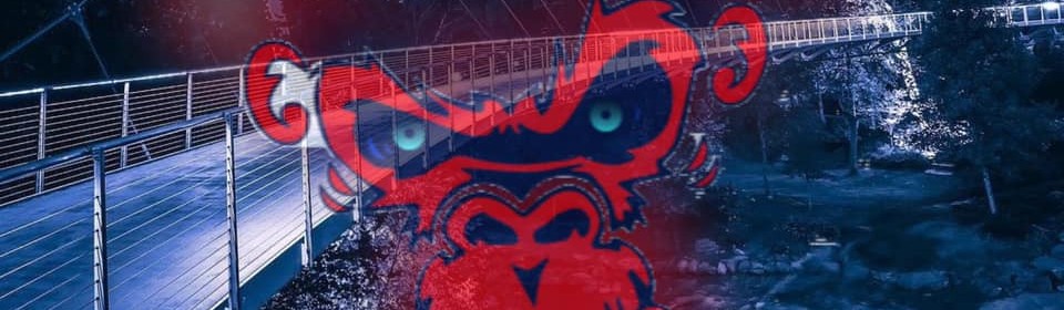 Main image of Boss Grappling