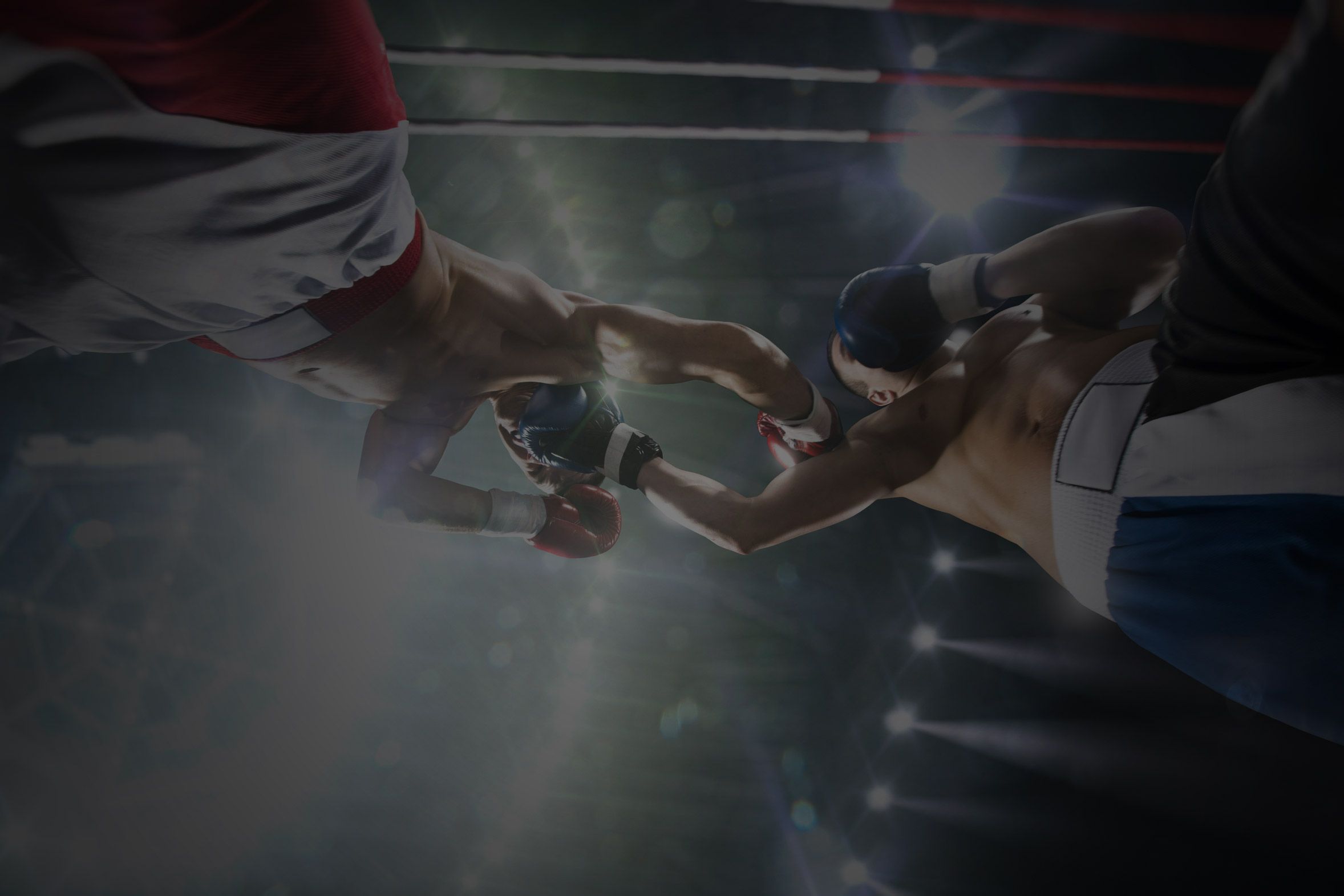 Main image of Box-Club Itzehoe