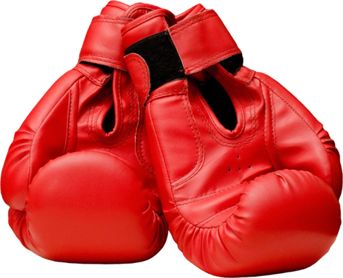 Main image of Box Club Radolfzell e. V.