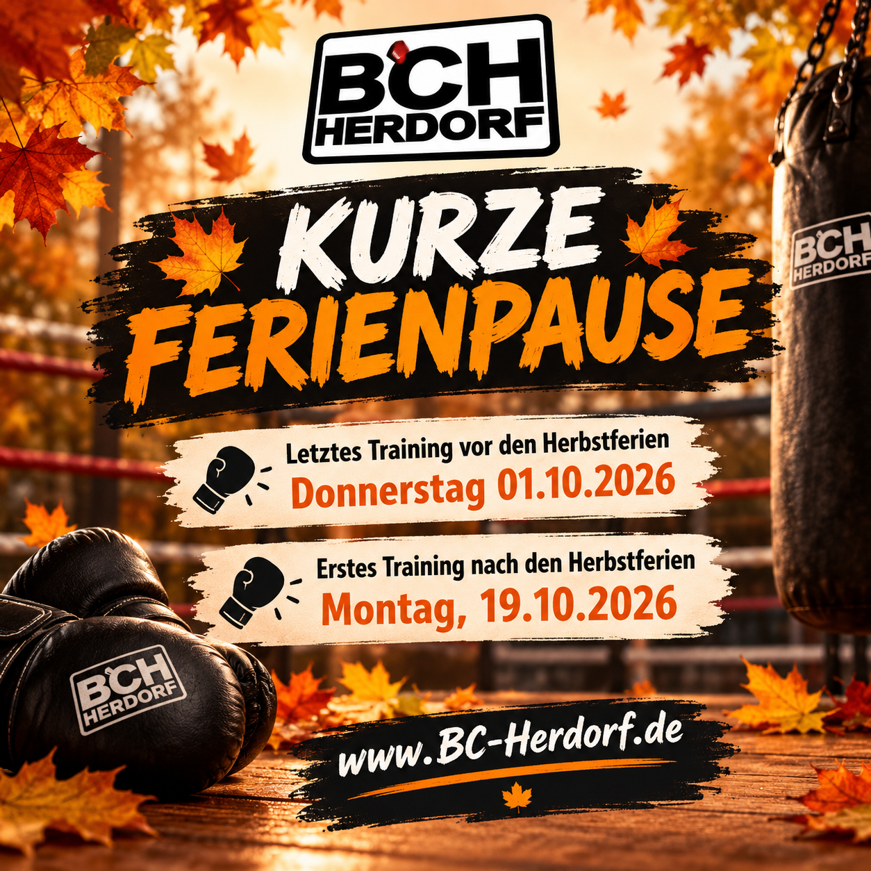 Main image of Boxclub Herdorf e. V.
