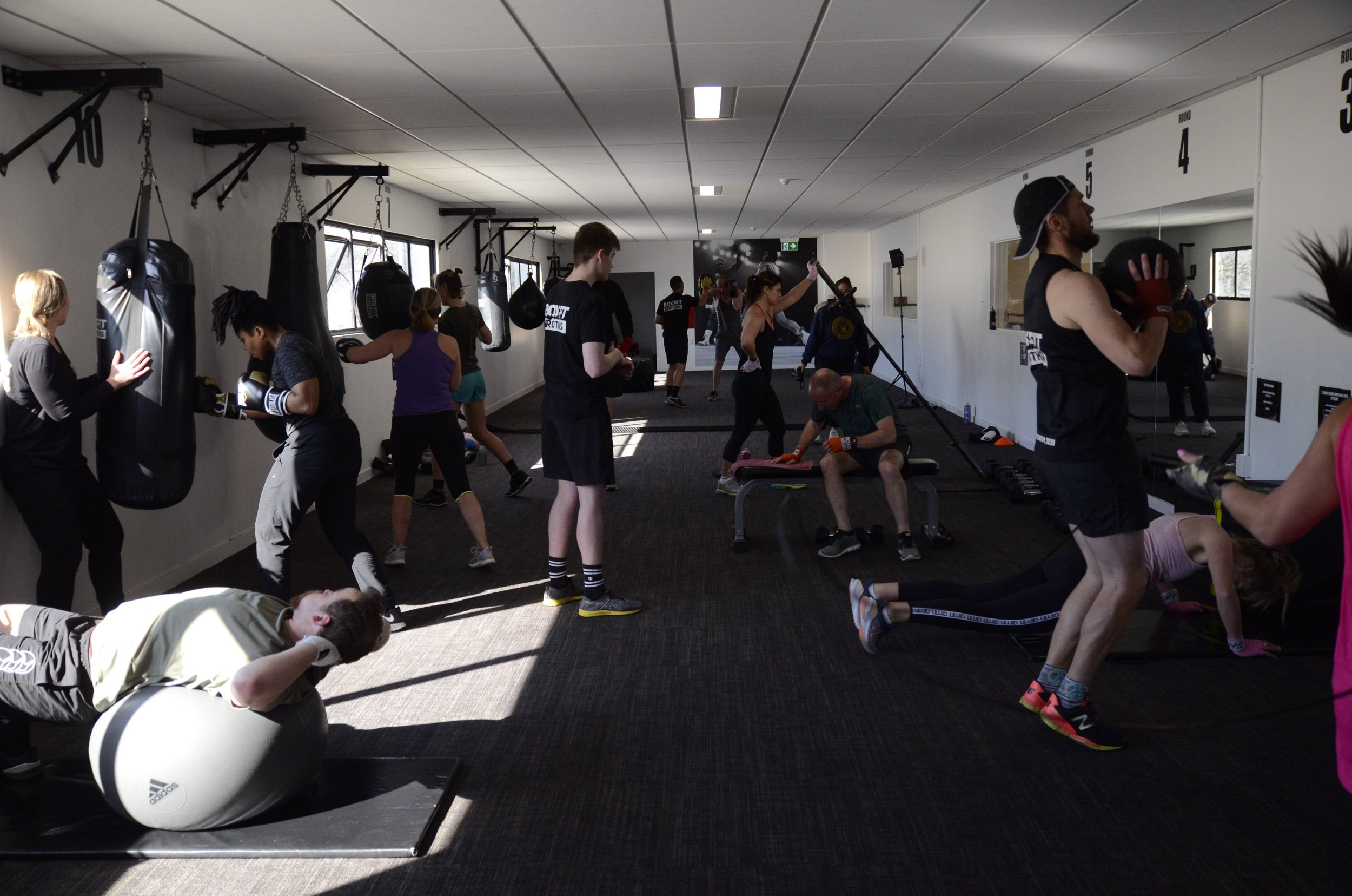 Main image of Boxfit Brothers