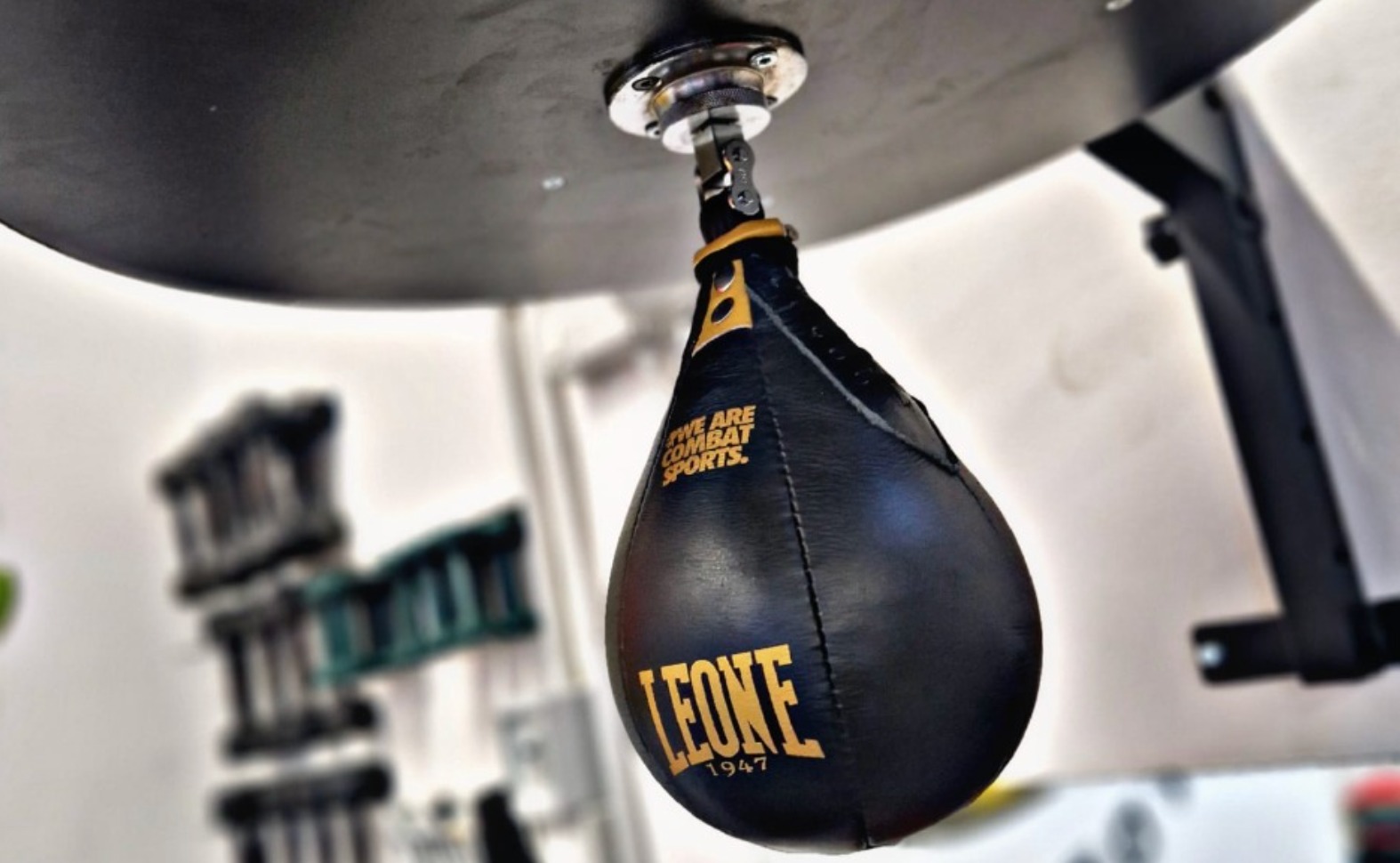 Main image of Boxing Club Tortona