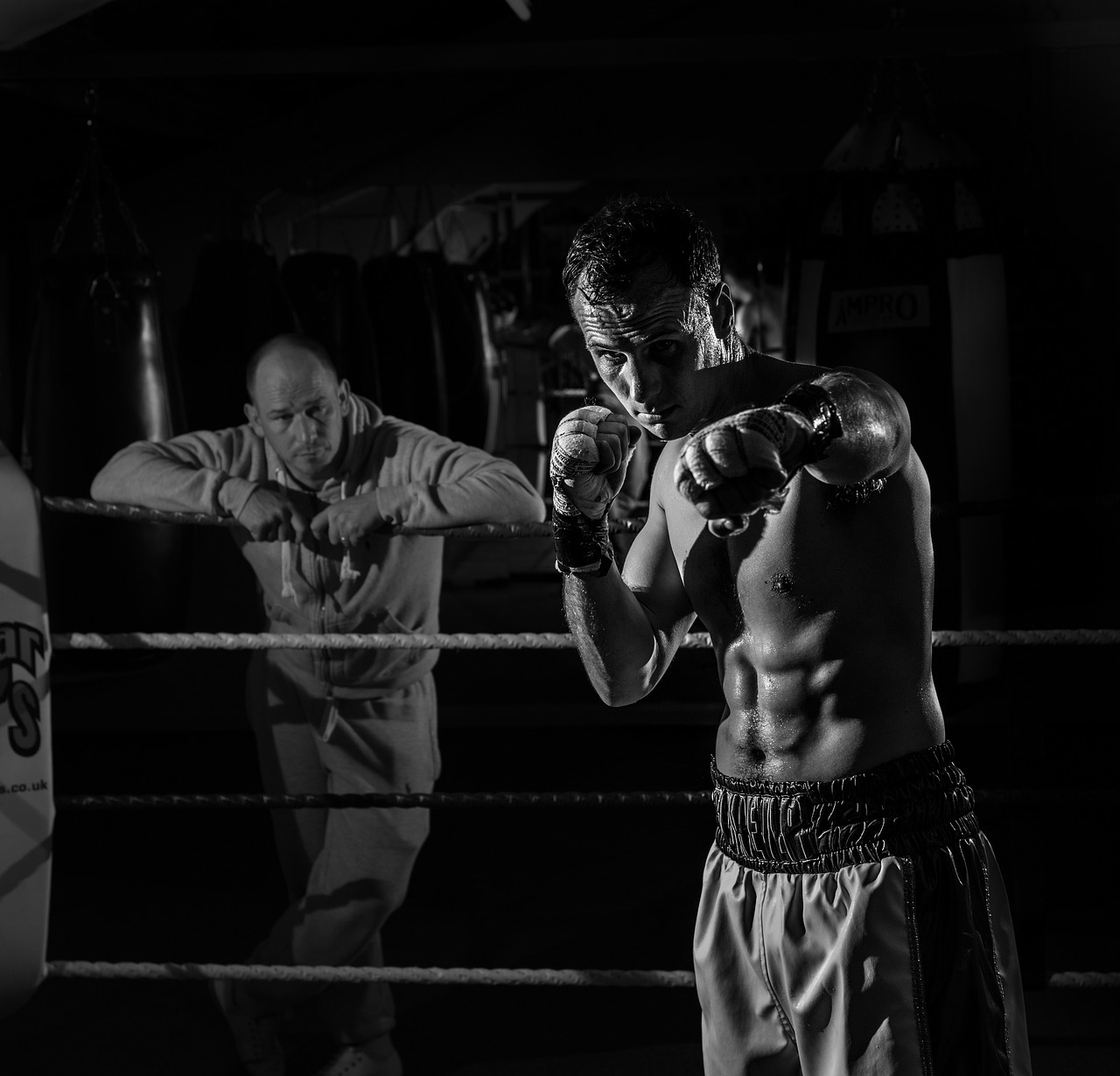 Main image of Boxing Fever