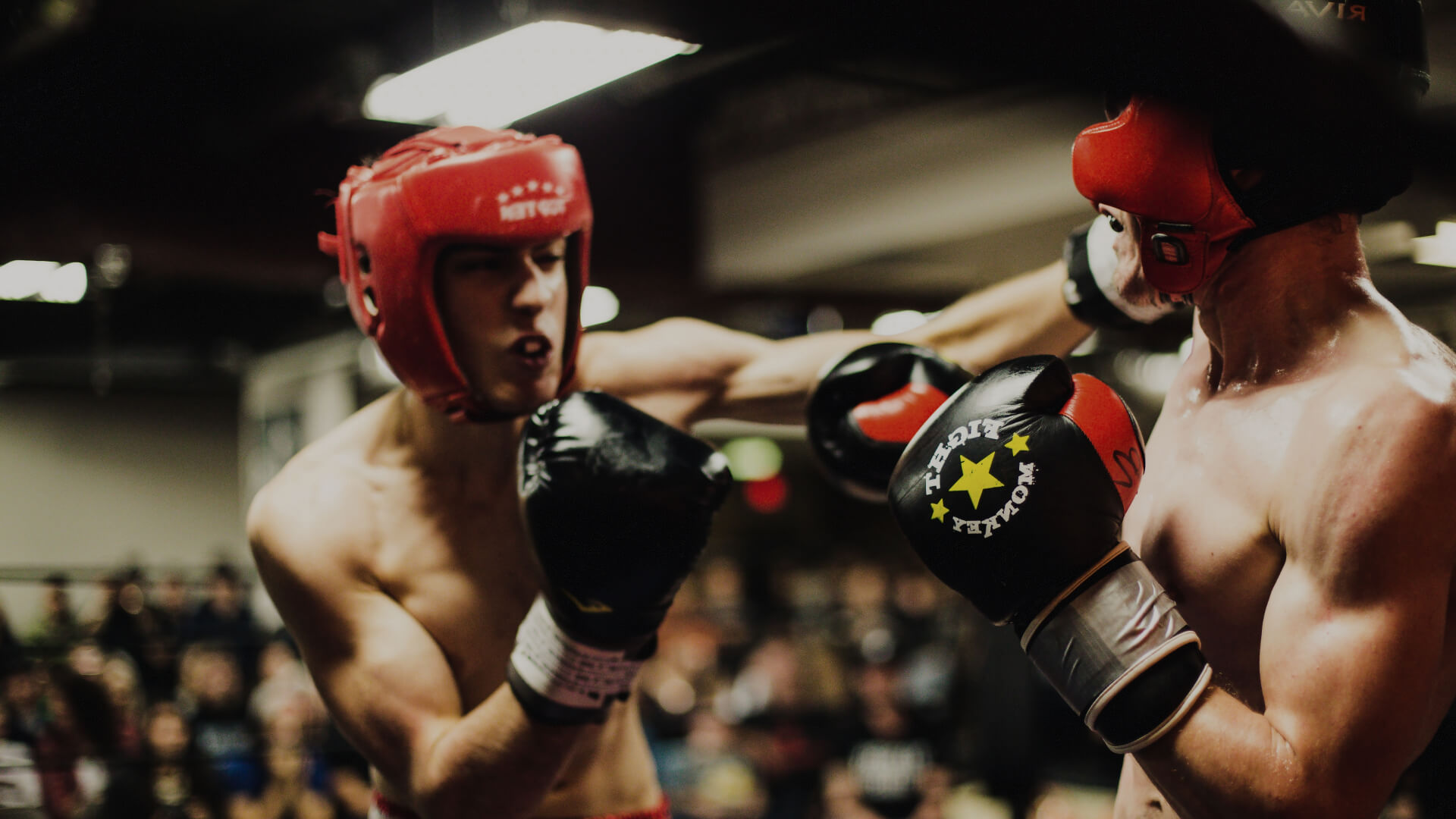Main image of Boxing kempen