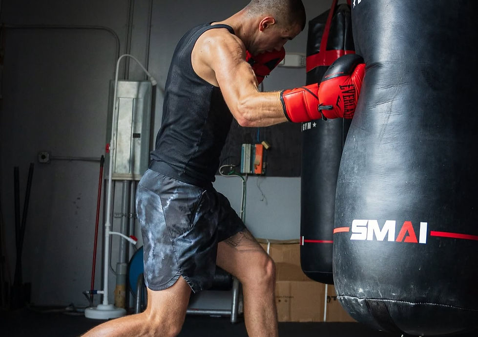 Boxing & Kickboxing “Stankovic” academy image